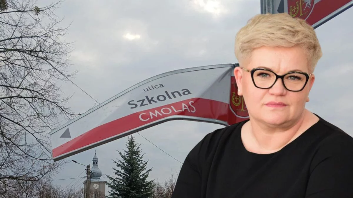 Wójt gminy Cmolas daje ostatnią szansę wandalowi - Zdjęcie główne