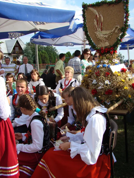 Dożynki gminie ostatni raz w Zarębkach były organizowane w 2007 roku. Zgodnie z harmonogramem kolejny raz sołectwo miało zaprosić wieńce dożynkowe z gminy Kolbuszowa w tym roku. Pojawił się jednak inny pomysł.