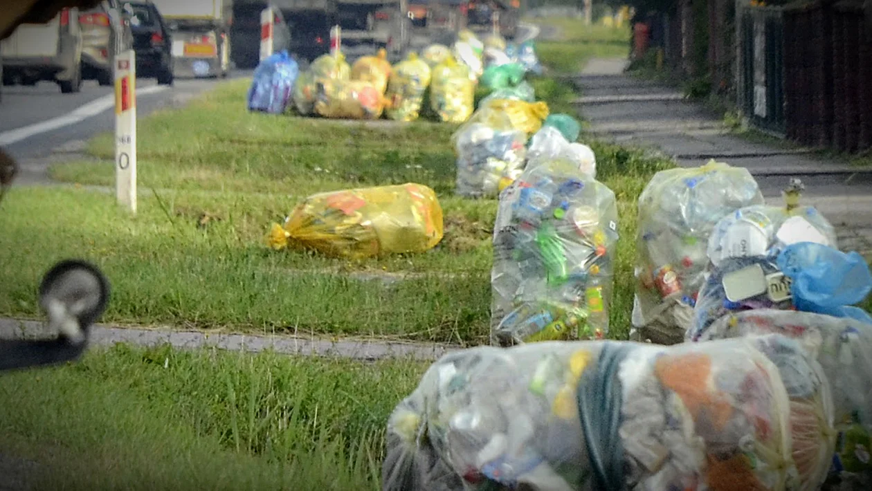 Nowe terminy odbioru śmieci w gminie Kolbuszowa. Radny Józef Fryc: - Nie wszyscy o tym wiedzą - Zdjęcie główne