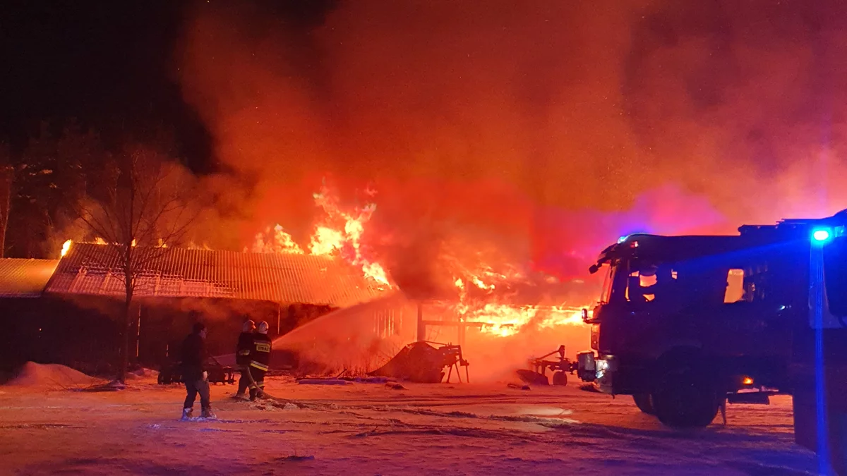 Ogromny pożar tartaku w Leszczach. Z ogniem walczą strażacy [ZDJĘCIA] - Zdjęcie główne