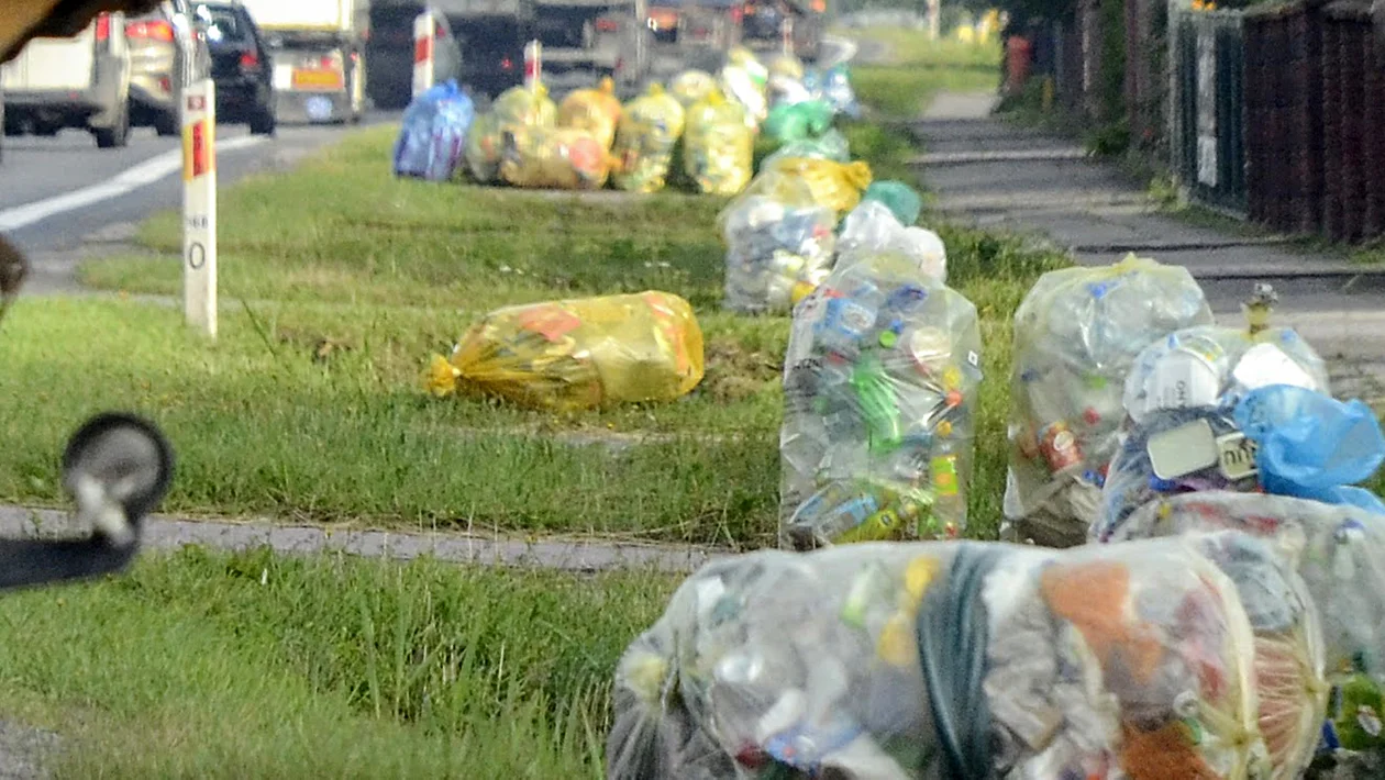 Kolbuszowa. Naklejanie kodów wciąż obowiązkowe. Mieszkańcy: - Nikt nam nic nie kazał  - Zdjęcie główne