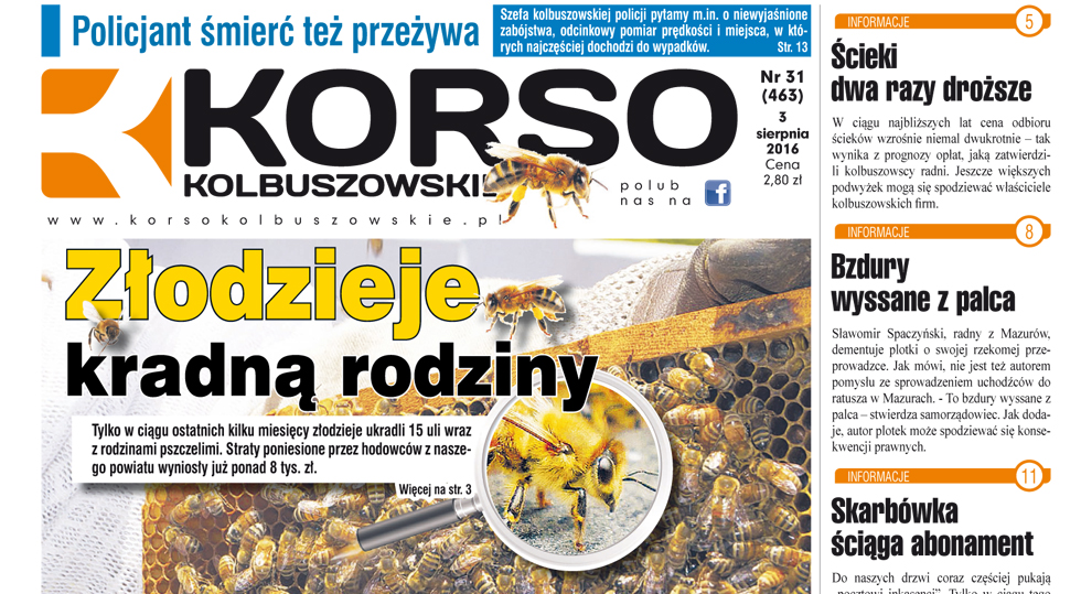 Korso Kolbuszowskie nr 31/2016 - Zdjęcie główne