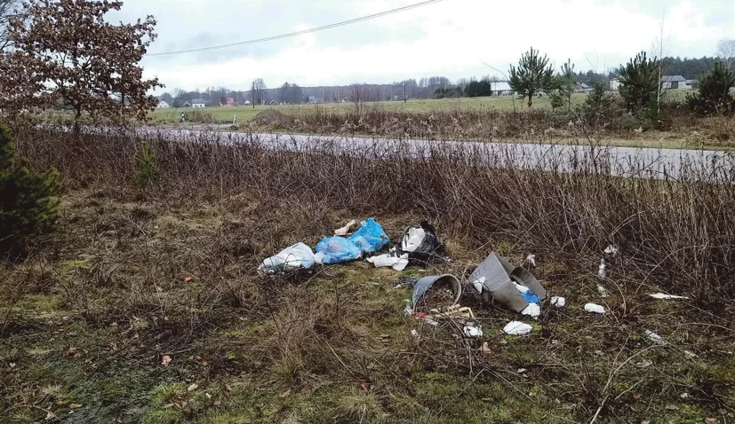 Pełno śmieci w rowach i na poboczach w całym powiecie kolbuszowskim. Sołtys interweniuje - Zdjęcie główne