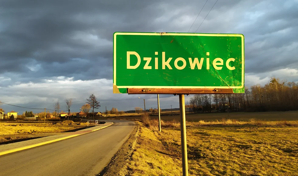 Remont dróg w ośmiu sołectwach na terenie gminy Dzikowiec. Samorząd wybrał wykonawcę - Zdjęcie główne