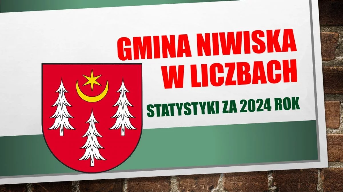 Urodzenia. Zgony. Związki małżeńskie. Mamy dane i liczby z gminy Niwiska za 2024 rok [RAPORT] - Zdjęcie główne