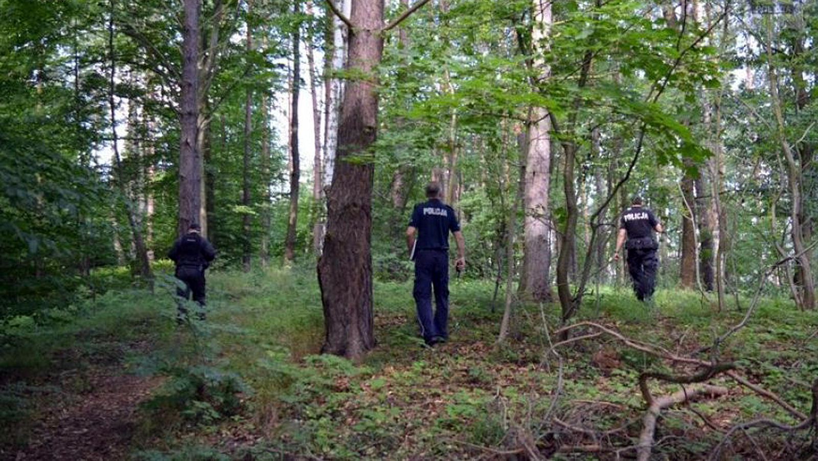 Zaginęła mieszkanka Świerczowa. Policjanci i strażacy przeczesywali lasy  - Zdjęcie główne