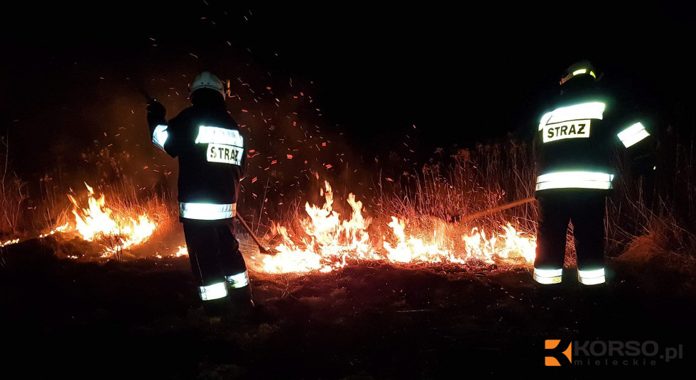 Prawie 10 tysięcy interwencji na Podkarpaciu. Straż podsumowuje wakacje - Zdjęcie główne