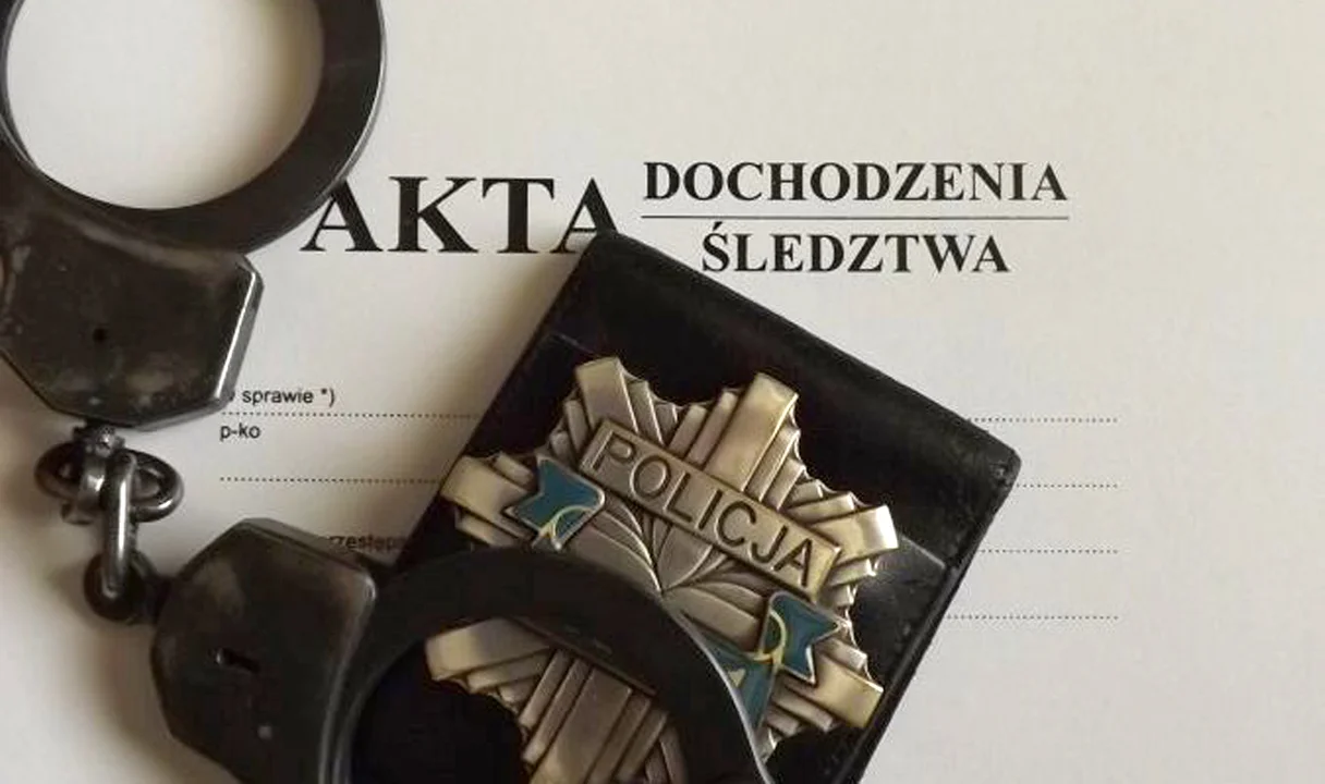Dwaj mieszkańcy gminy Kolbuszowa trafili do aresztu. Za co?  - Zdjęcie główne