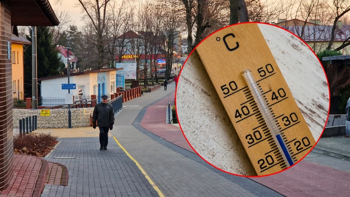 Nawet 20°C początkiem marca. Potężny wyż przywędruje do Polski - Zdjęcie główne