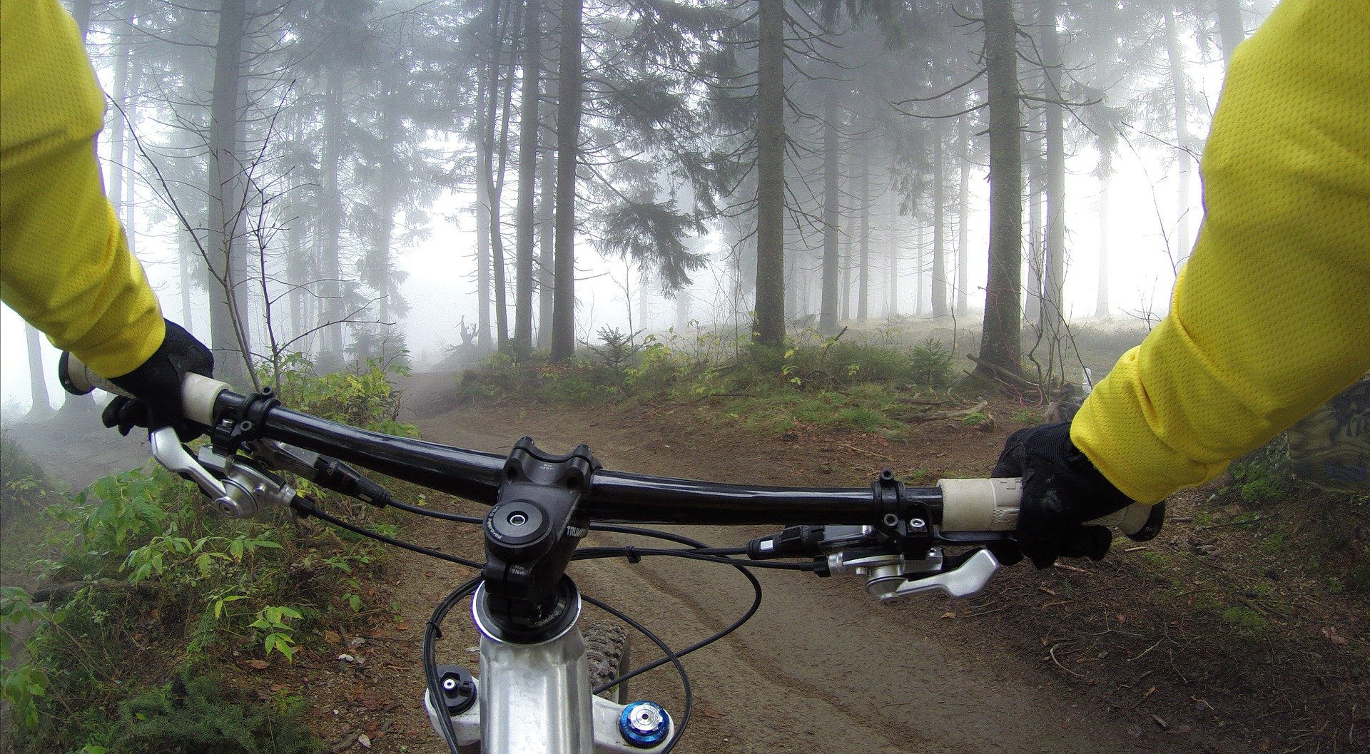 Trasy rowerowe w powiecie kolbuszowskim - Zdjęcie główne