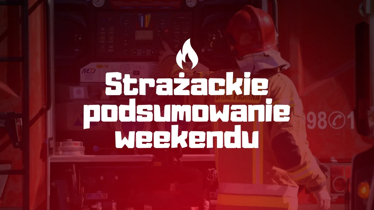 Pożar na cmentarzu, w gospodarstwie i wypadki. Strażackie podsumowanie weekendu - Zdjęcie główne