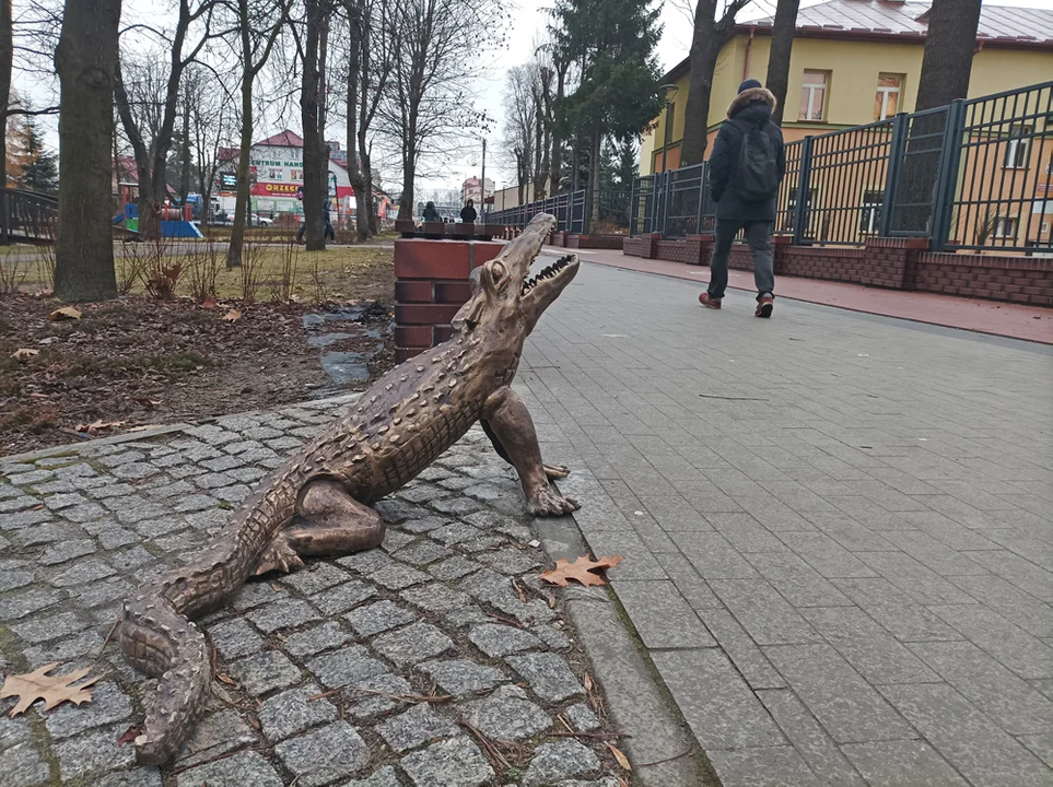 Cztery nowe figurki krokodyli w Kolbuszowej. Znajdziesz je też na naszej mapie [ZDJĘCIA-MAPA] - Zdjęcie główne