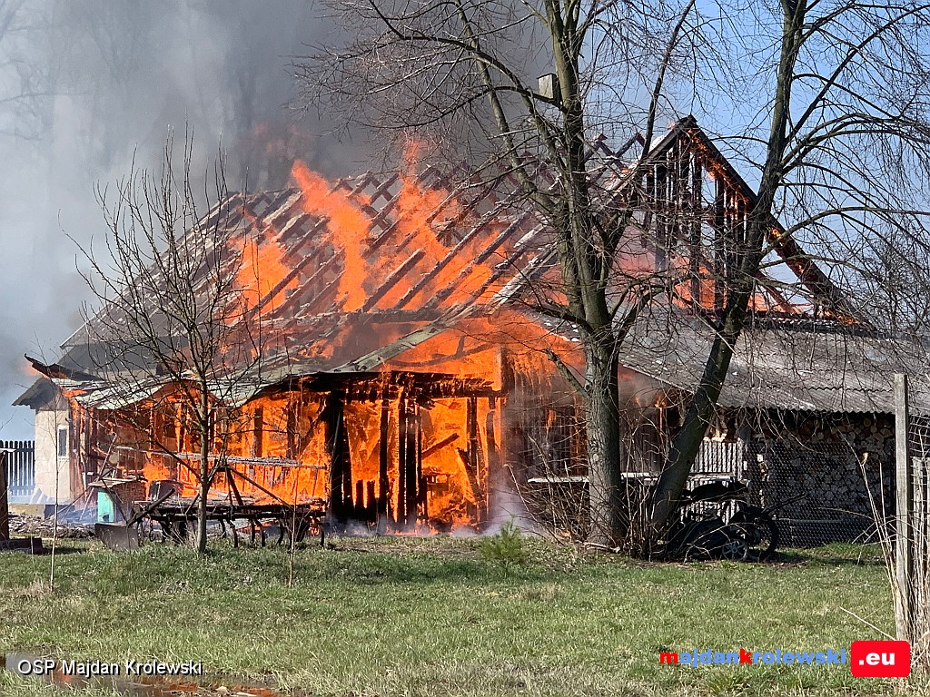 Pożar budynku, lasu i łąki [FOTO] - Zdjęcie główne