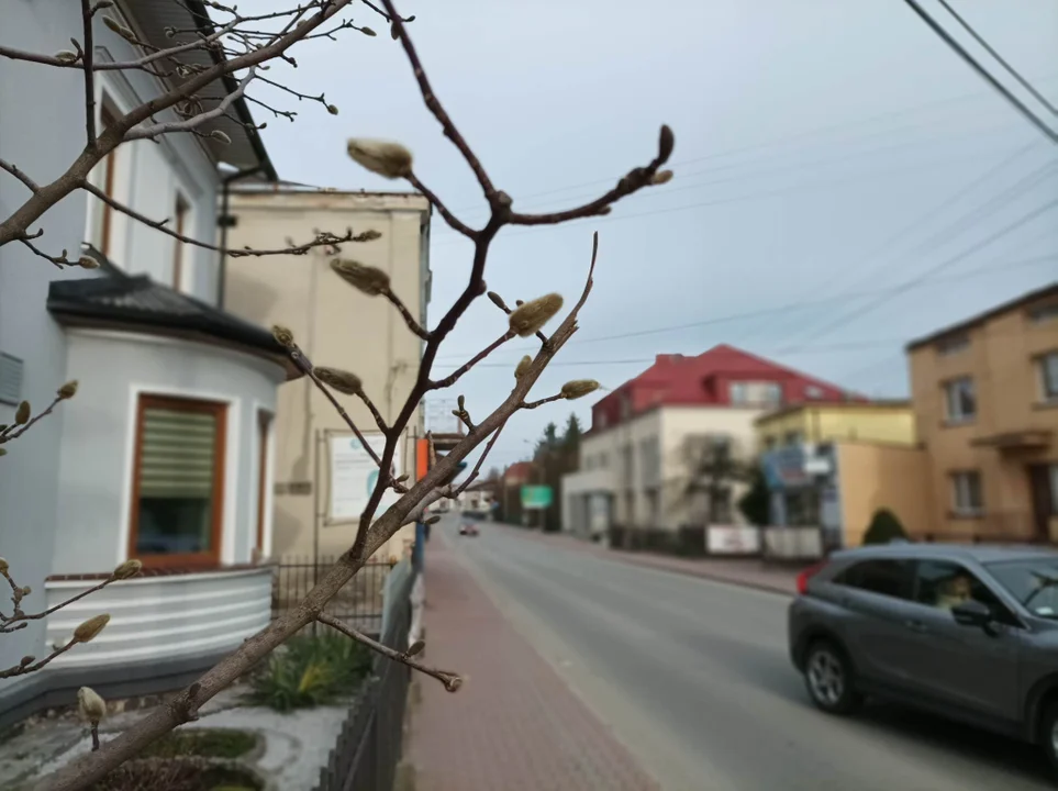 Pogoda Kolbuszowa. Jakie są prognozy synoptyków na najbliższe dni marca? - Zdjęcie główne