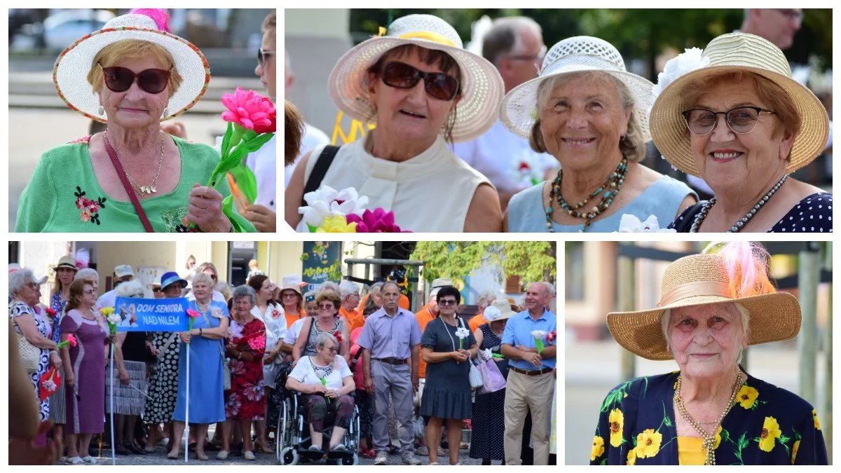 Senioralia nad Nilem w Kolbuszowej. Tak świętowali seniorzy [ZDJĘCIA] - Zdjęcie główne