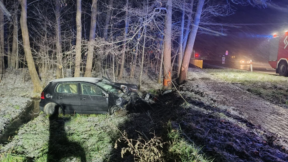 Nocny wypadek na drodze krajowej nr 9 w Widełce [ZDJĘCIA] - Zdjęcie główne