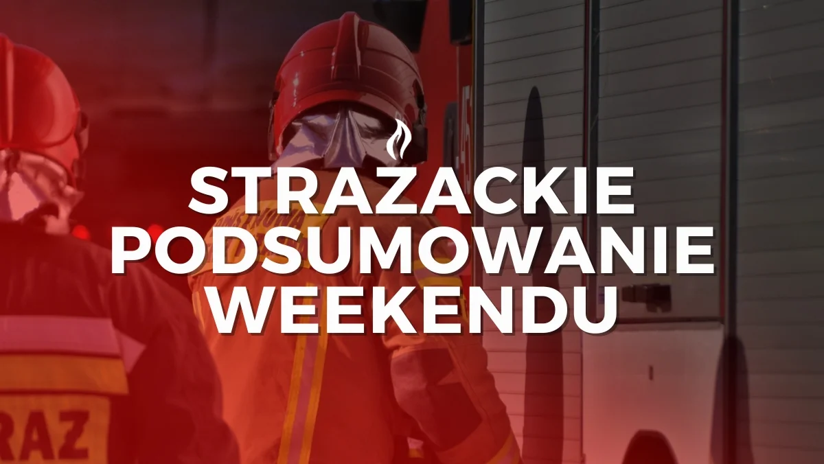 Zaskroniec na posesji i alarm pożarowy w kolbuszowskiej galerii. Strażacy podsumowali weekend - Zdjęcie główne