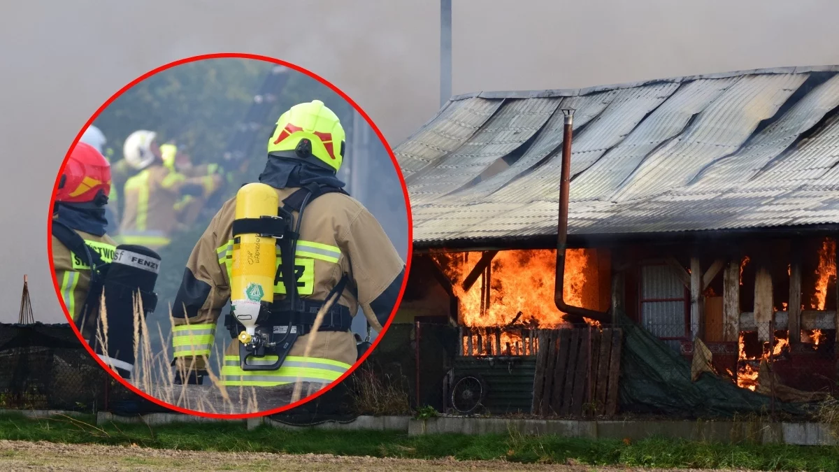 Pożar w Cmolasie. Tak wyglądała akcja gaśnicza. Relacja strażaka [WIDEO - ZDJĘCIA] - Zdjęcie główne