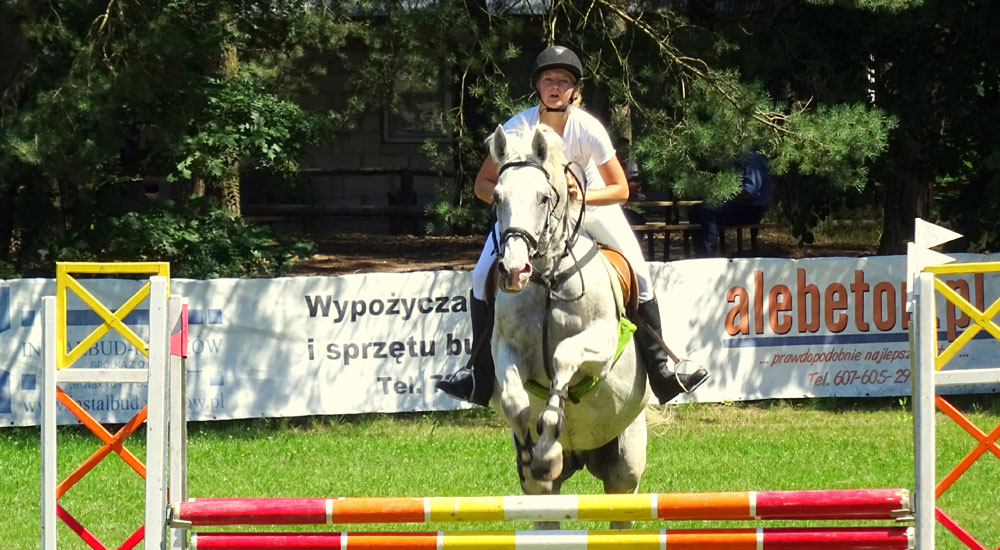 Sumienna praca popłaca - Zdjęcie główne