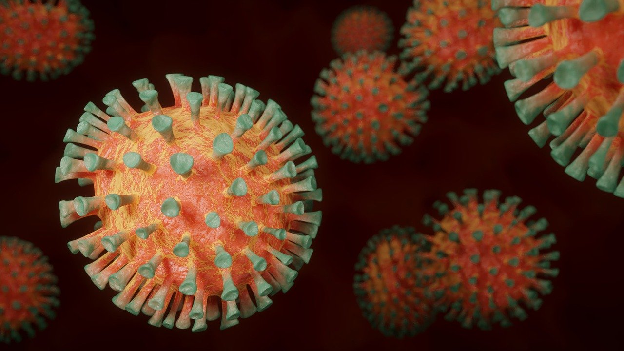 KORONAWIRUS: Bilans zakażeń w Polsce po weekendzie - Zdjęcie główne