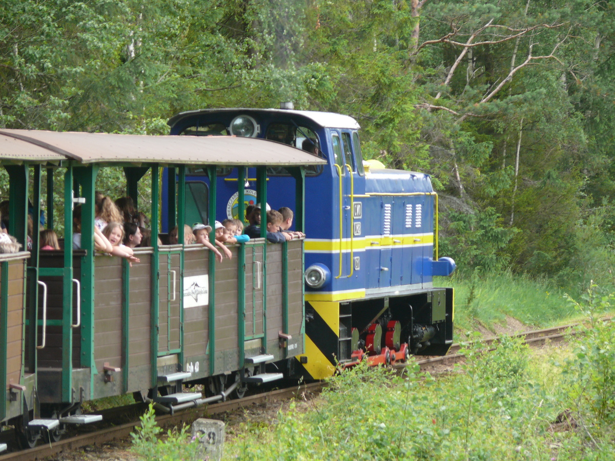 Bieszczady w obiektywie: podróż Bieszczadzką Kolejką Leśną - Zdjęcie główne