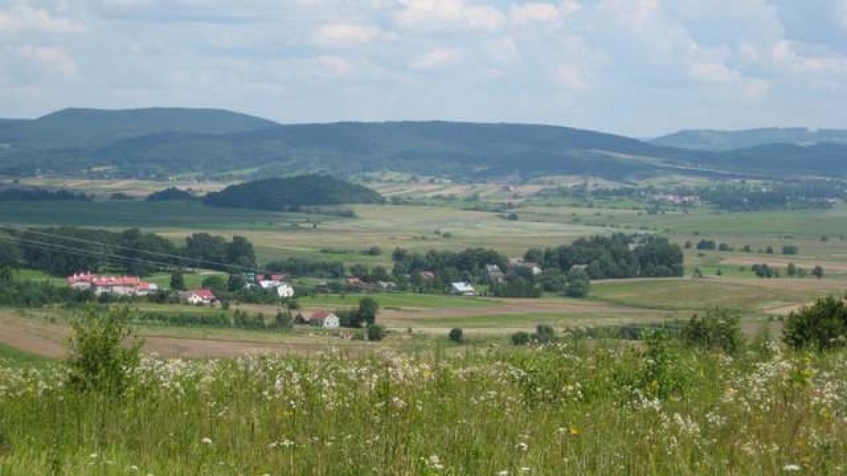Uroczyste obchody 650-lecia Strachociny - Zdjęcie główne