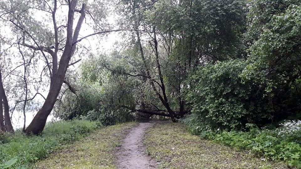 Wandale na ścieżce rowerowej Sanok - Zagórz [FOTO] - Zdjęcie główne