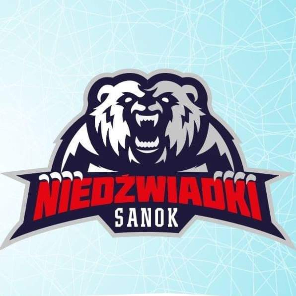 Niedźwiadki zwycięskie po raz kolejny w MHL - Zdjęcie główne