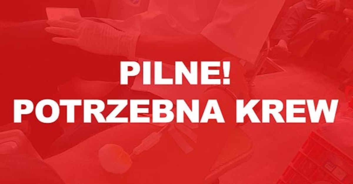 UWAGA: Tragiczny wypadek w Krajowicach - PILNIE POTRZEBNA KREW!  - Zdjęcie główne