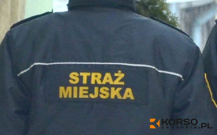 Obnażający się mężczyzna, popijawa na ławce i zakłócanie porządku na cmentarzach - Zdjęcie główne