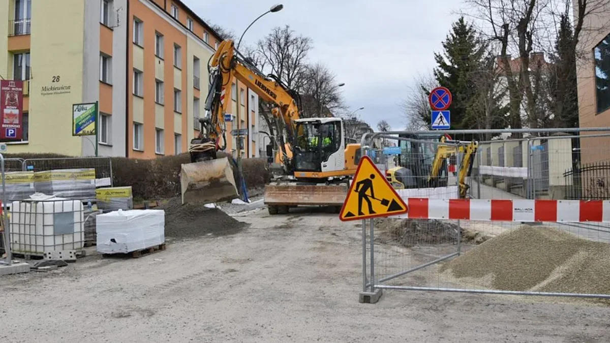 Co z zielenią na ulicy Mickiewicza w Sanoku? Starosta odpowiada - Zdjęcie główne