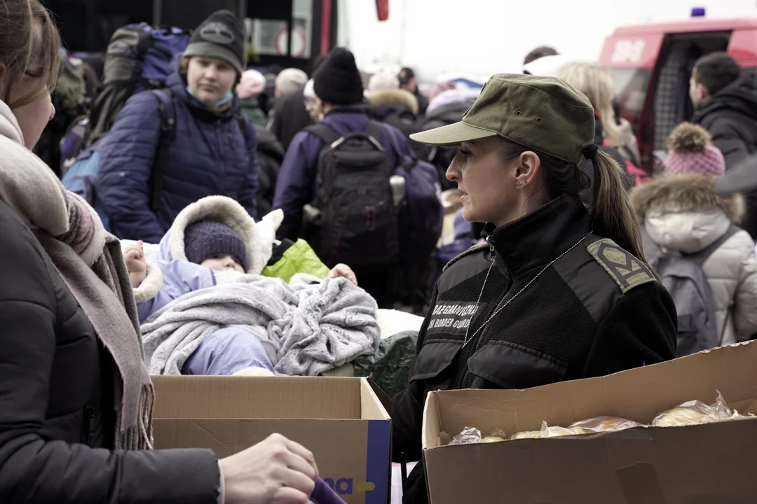 Aktualna sytuacja na podkarpackim odcinku granicy państwowej. Актуальна ситуація на підкарпатській ділянці кордону - Zdjęcie główne