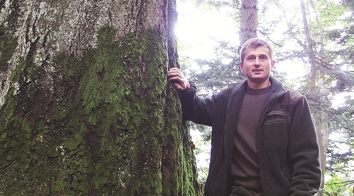 Roman Pasionek - leśnik, który uwiecznia las - Zdjęcie główne