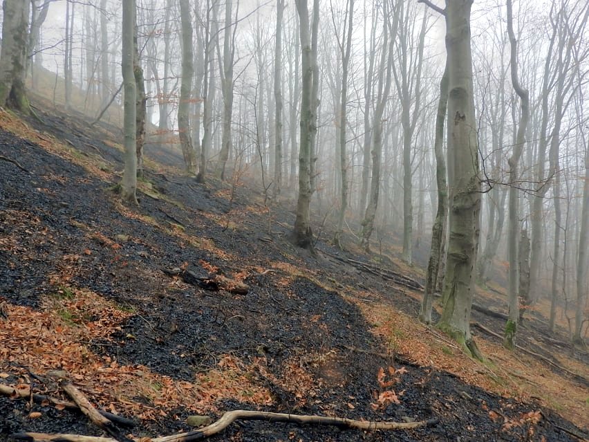 BIESZCZADY: Znamy przyczynę wczorajszego pożaru lasu! [FOTO] - Zdjęcie główne