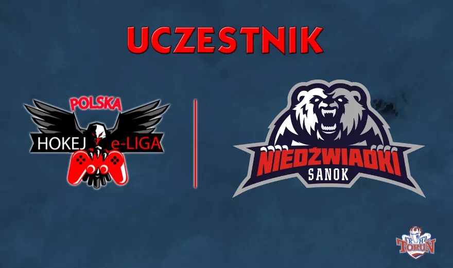UKS Niedźwiadki MOSIR Sanok w Polskiej Hokej e-Lidze - Zdjęcie główne