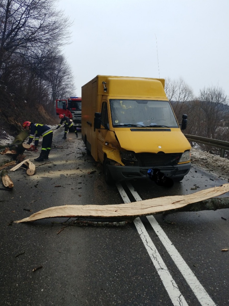 Powiat Leski: Drzewo spadło na samochód - Zdjęcie główne