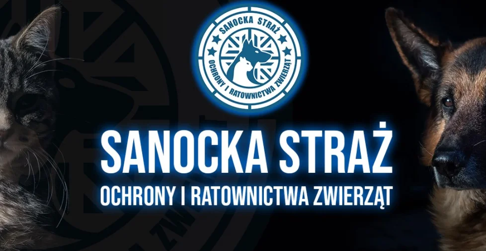 Sanocka Straż Ochrony i Ratownictwa Zwierząt - pilnie potrzebni wolontariusze do rozładunku karm i żywności z Bawarii - Zdjęcie główne