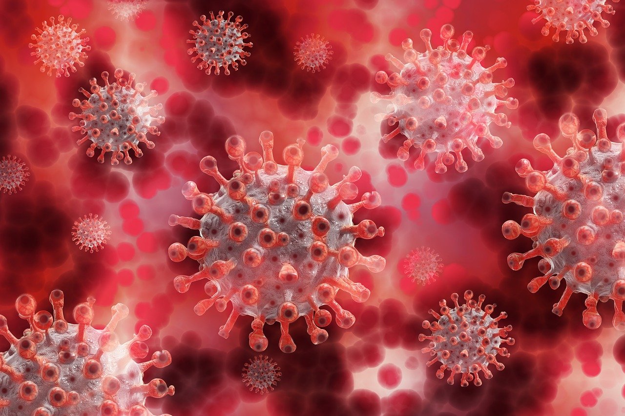 Zmutowany szczep koronawirusa już w Polsce!  - Zdjęcie główne