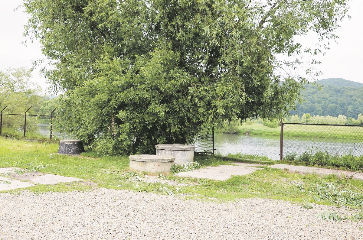 Zbrodnia i kara. Mija rok od zabójstwa młodego mężczyzny - Zdjęcie główne