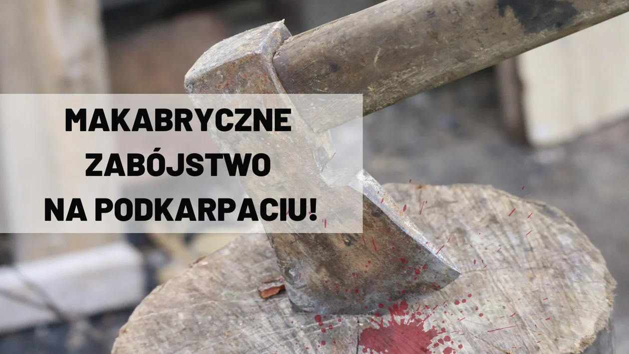 Podkarpacie. 29-latek zabił siekierą matkę i babcię! Zaatakował również dziadka, który walczy o życie w szpitalu - Zdjęcie główne