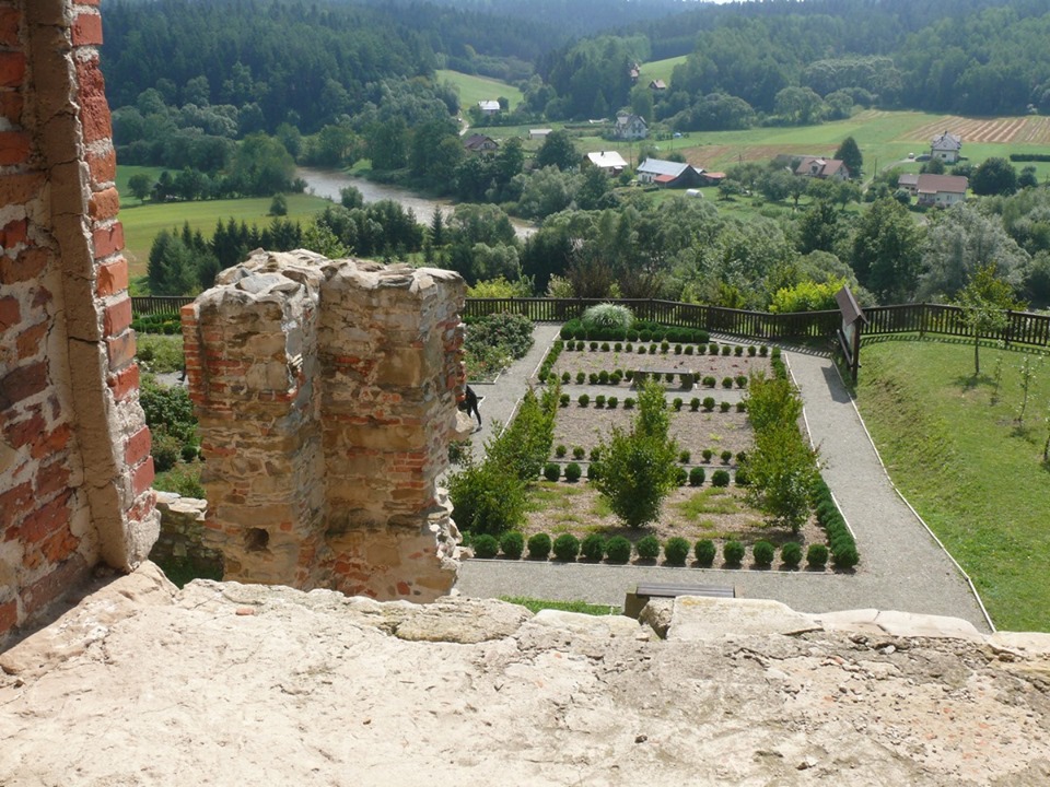 Ruiny Klasztoru Karmelitów Bosych w Zagórzu [ZDJĘCIA] - Zdjęcie główne