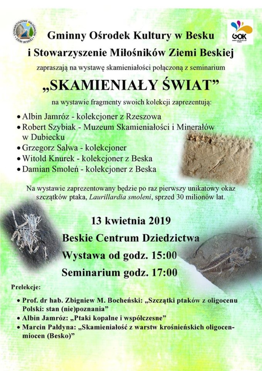 Wystawa "Skamieniały świat" - Zdjęcie główne