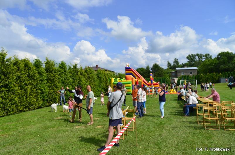 VII Ekologiczny Piknik Zdrowia w Woli Piotrowej - Zdjęcie główne