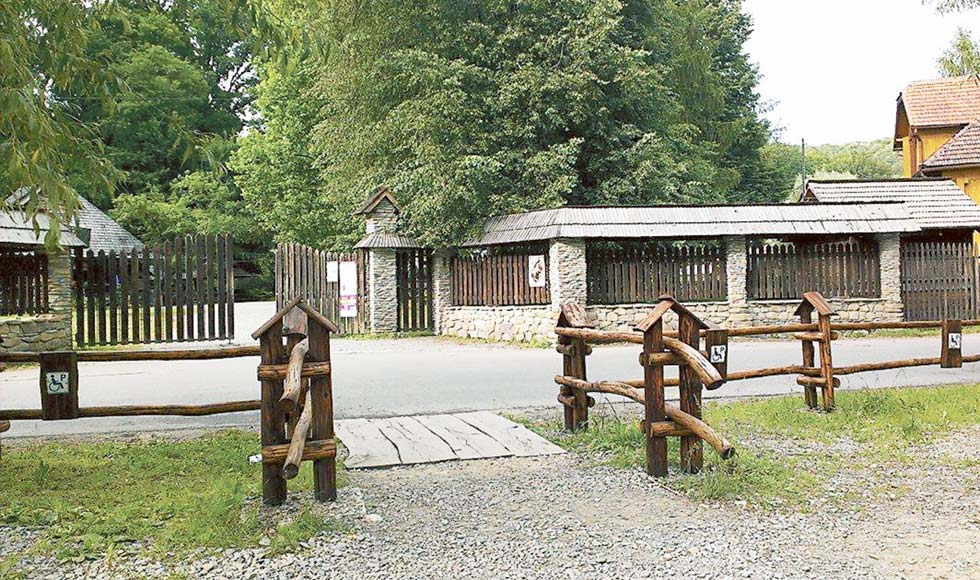 Sanok a niepełnosprawni - Zdjęcie główne
