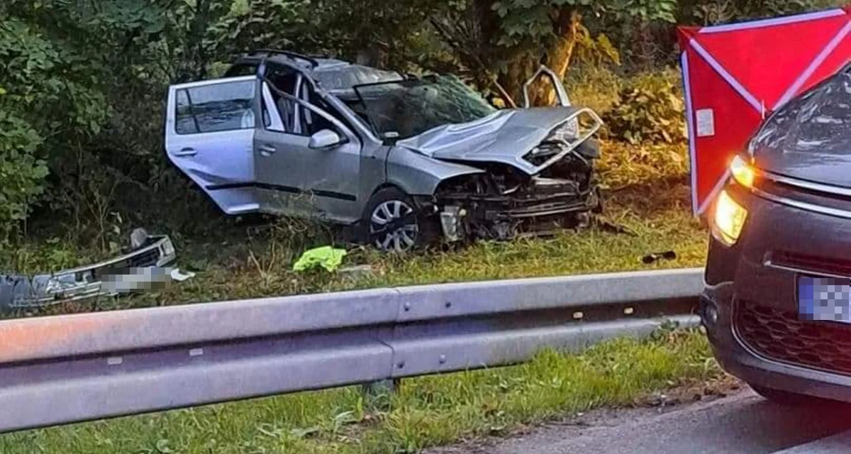 Śmiertelny wypadek w powiecie leskim. 19-latka wypadła z drogi i uderzyła w drzewo - Zdjęcie główne