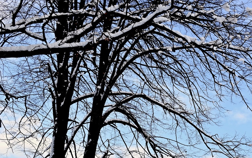 IMGW ostrzega przed opadami śniegu w Bieszczadach i Beskidzie Niskim - Zdjęcie główne