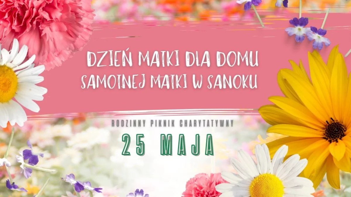 Rodzinny Piknik Charytatywny w Sanoku. Świętujemy Dzień Matki i pomagamy samotnym mamom - Zdjęcie główne