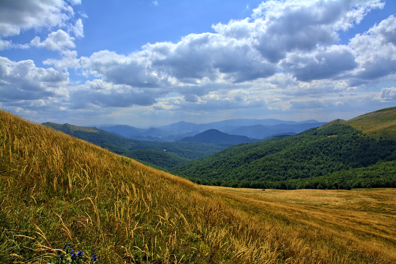 BIESZCZADY: Frekwencja na szlakach w 2019 roku - Zdjęcie główne