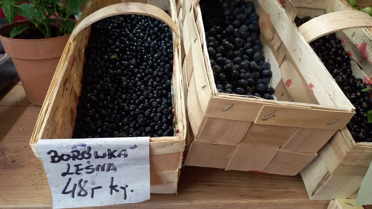 Leśne jagody pojawiły się w Sanoku! Sprzedają się jak ciepłe bułeczki - Zdjęcie główne