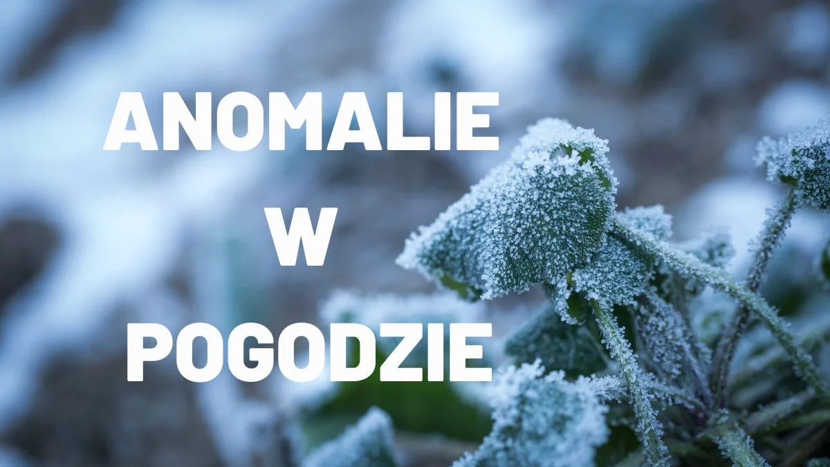 Arktyczne zimno nadciąga nad Polskę. Anomalia temperatury sięgnie nawet -12°C - Zdjęcie główne